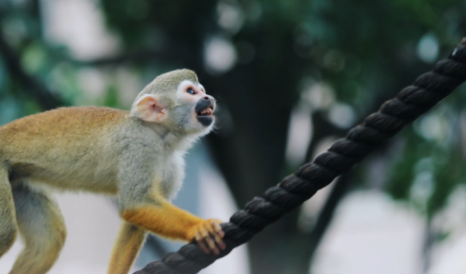 Define Your Aspirations